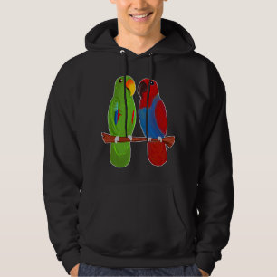 Moletom Eclectus Parrot Adorable Casal Birds Cute Drake