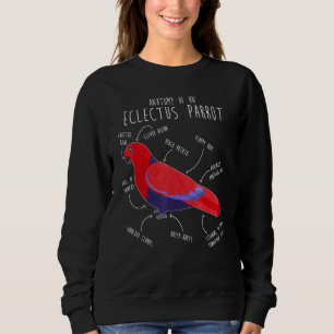 Moletom Eclectus Parrot Anatomy Female Parrot Bird
