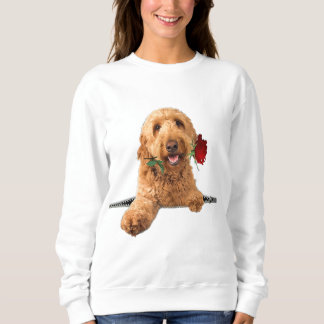 Moletom Engraçado Goldendoodle Rosa Zipper Cachorro Pocket
