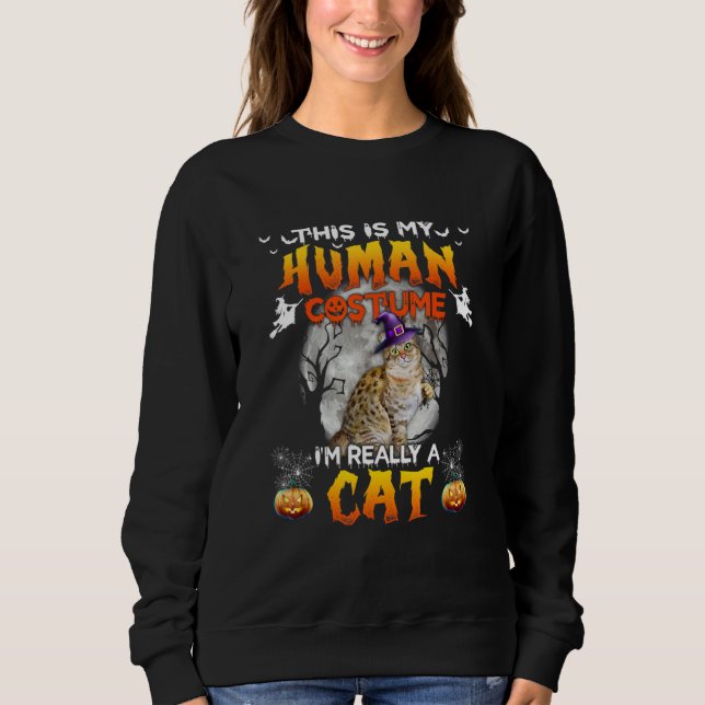 Moletom Este É Meu Disfarce Humano Eu Sou Realmente Um Gat (Frente)