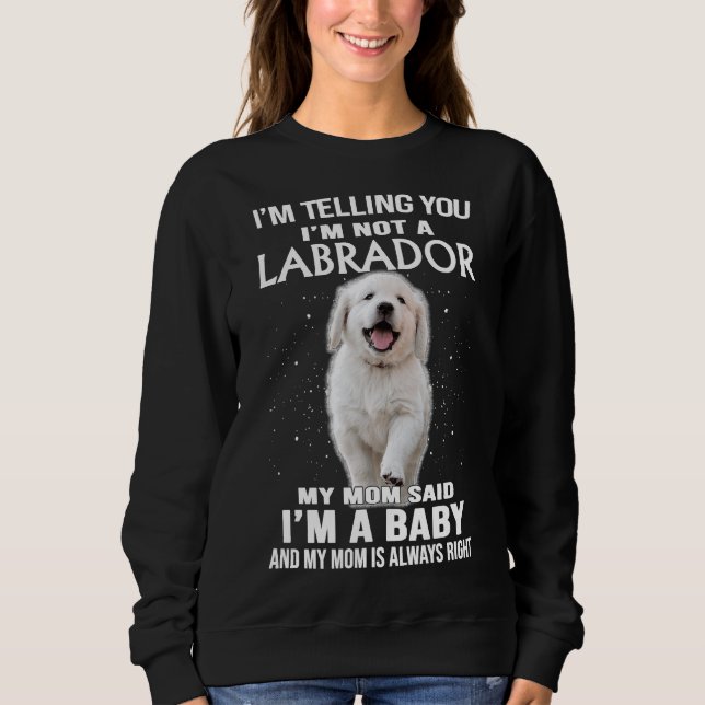 Moletom Estou Dizendo Que Não Sou Um Cão De Labrador. (Frente)