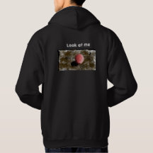 Eu coloquei um pouco de trabalho para fazer isso