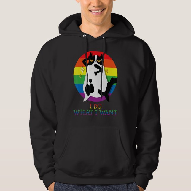 Moletom Eu Faço O Que Eu Quero Que Gato Lgbt Orgulho Arco- (Frente)