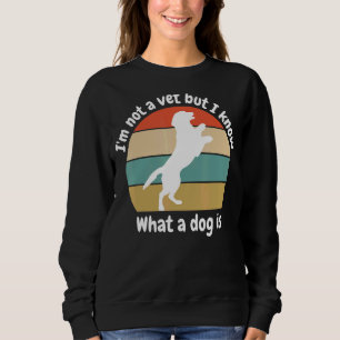 Moletom Eu não sou um veterano, mas sei o que um cão é sar