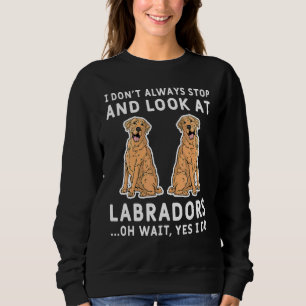 Moletom Eu nem sempre paro e olho para os Labradores