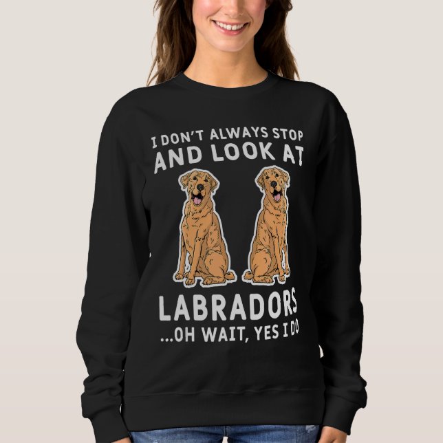 Moletom Eu nem sempre paro e olho para os Labradores (Frente)