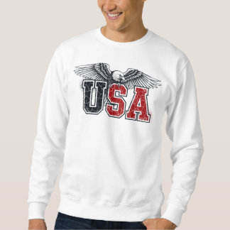 Moletom EUA - American Eagle Varsity Style Classic Vintage