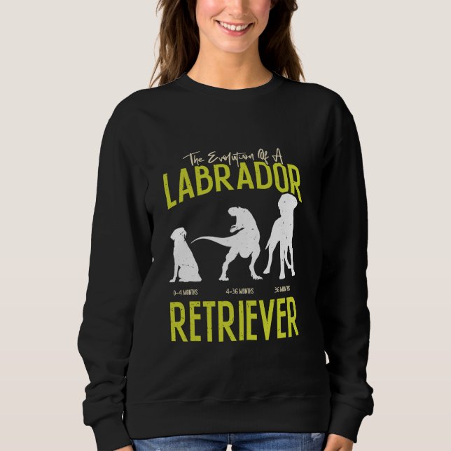 MOLETOM EVOLUÇÃO DE UM TITULAR DE RECUPERAÇÃO DE LABRADOR  (Frente)