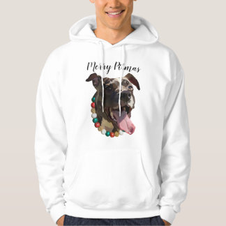 Moletom Feliz Pitmas Hoodie