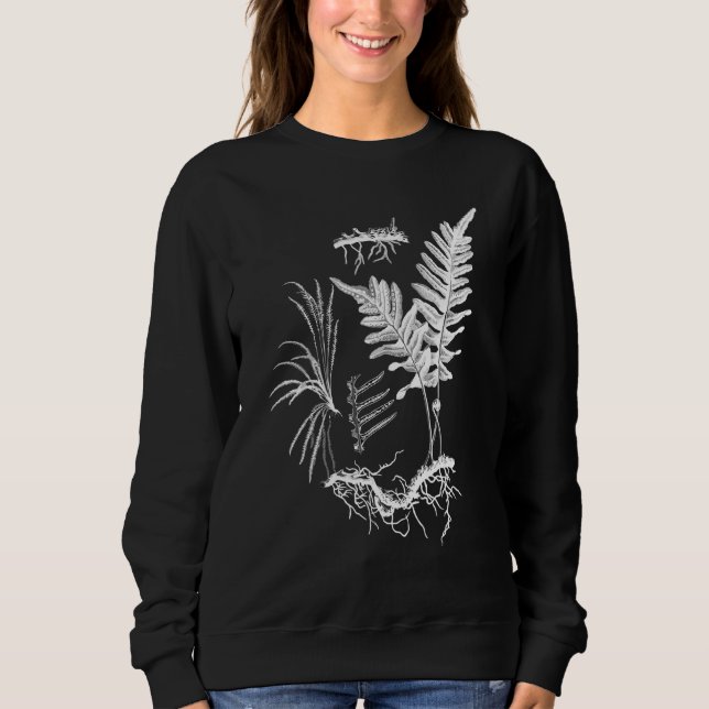 Moletom Fern Plant Botanical Ferns Ilustração Sem Flor (Frente)