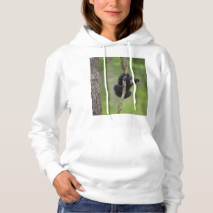 Moletom Filhote de urso preto brincando, Tennessee