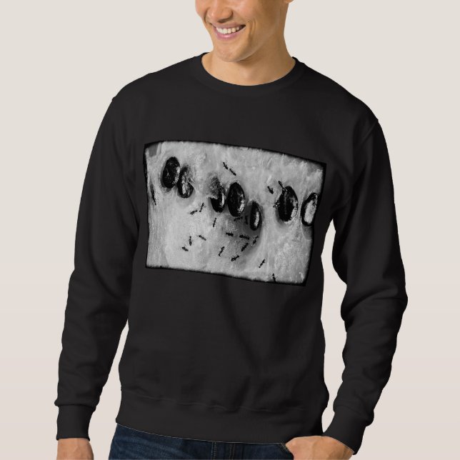 Moletom formigas surfadoras (Frente)