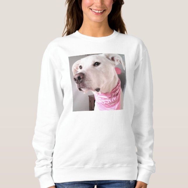 Moletom Foto de Cachorro Branco-Bonito Vestindo Scarf Rosa (Frente)