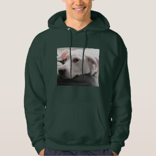 Moletom Foto de Cachorro com Excelente