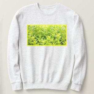 Moletom Foto "Mint Vegetais". Compre agora