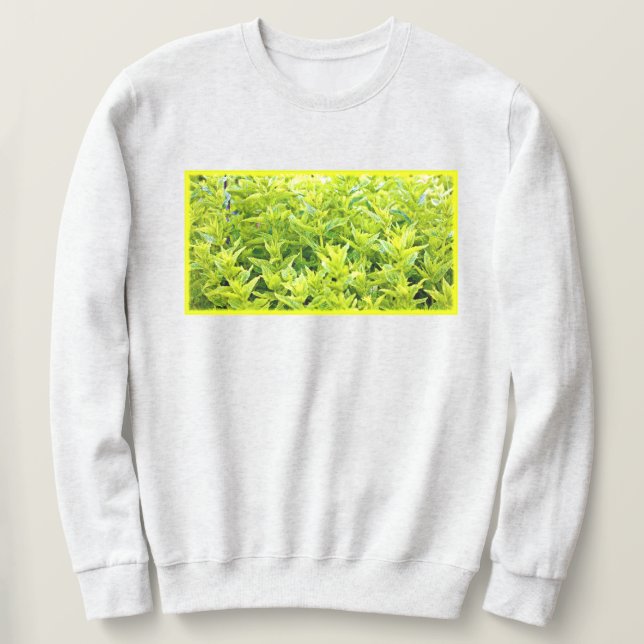Moletom Foto "Mint Vegetais". Compre agora (Frente do Design)