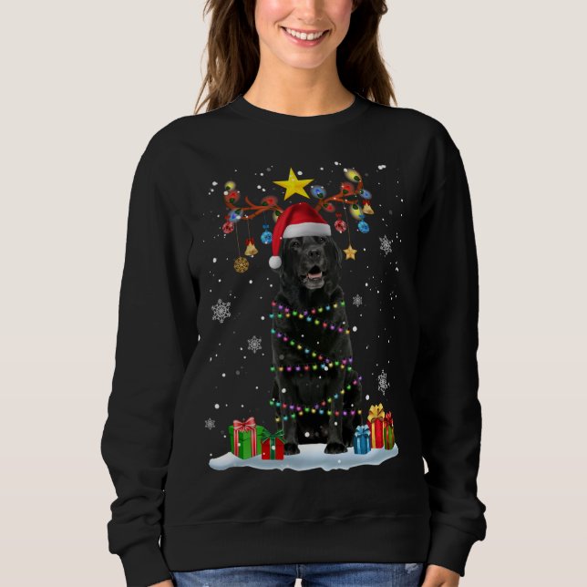 Moletom Funny Black Lab Cachorro de Natal Reindet de Natal (Frente)