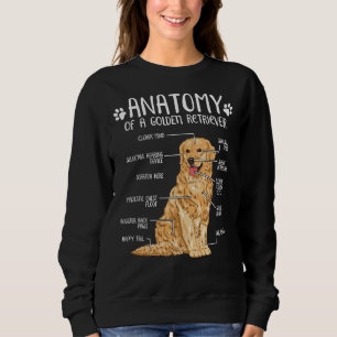 Moletom Funny Golden Retriever Anatomy Dog