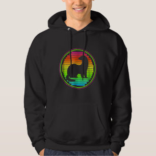 Moletom Furões Retro Adoram Cores do Furão 1980