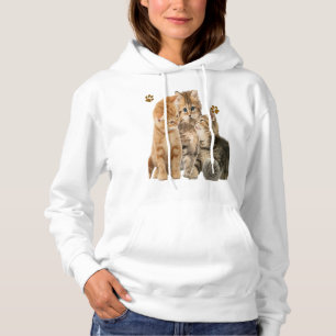 Moletom Gatinhos brincando de t-shirts