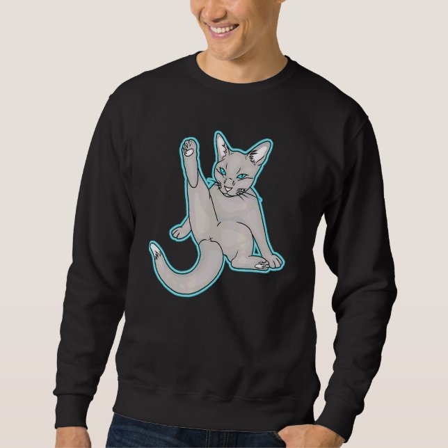 Moletom Gato Bastante Relaxado (Frente)