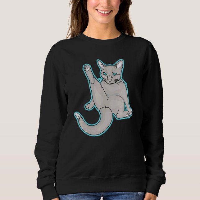 Moletom Gato Bastante Relaxado (Frente)