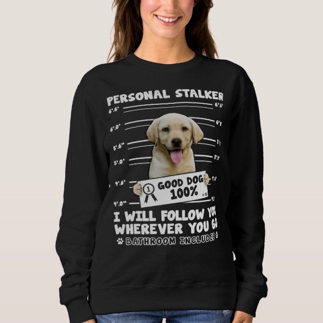 Moletom Gato De Cachorro Pessoal Labrador Retriever Para C (Frente)