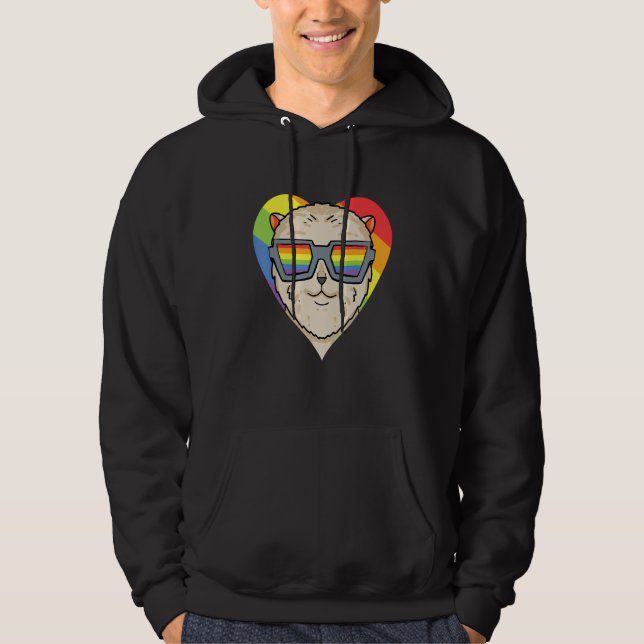Moletom Gay Pride LGBT Rainbow - Dog Breed Pomeranian - LG (Frente)