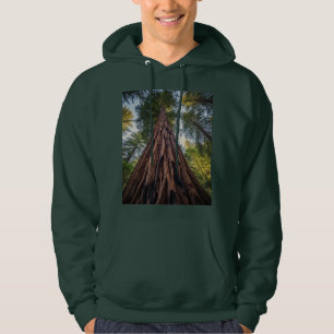 Moletom Grandeur da Natureza desvendado * Um vislumbre no 