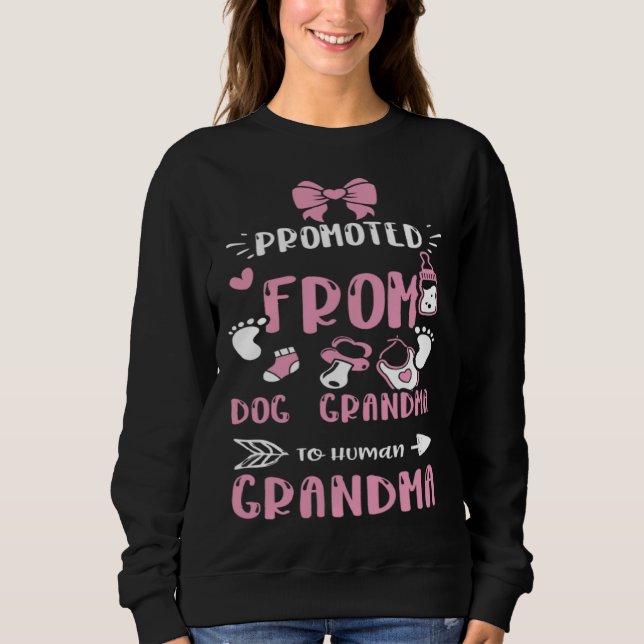 Moletom Grandma Promoted From Dog Grandma To Human Gra  Ba (Frente)