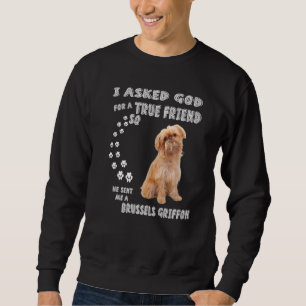 Moletom Griffon Belge Cachorro Mãe Pai Figurume Cute Bruxe