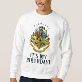 Moletom Harry Potter | Hogwarts - It's My Birthday