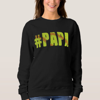 Moletom Homens Retro-Dia de os pais Com Softball Papa Soft