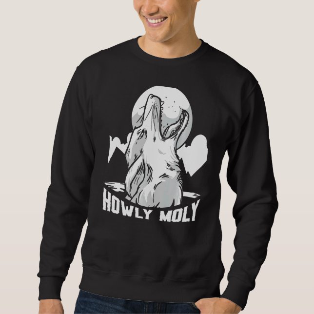 Moletom Howly Moly Coyote Caçando Armadilhas (Frente)