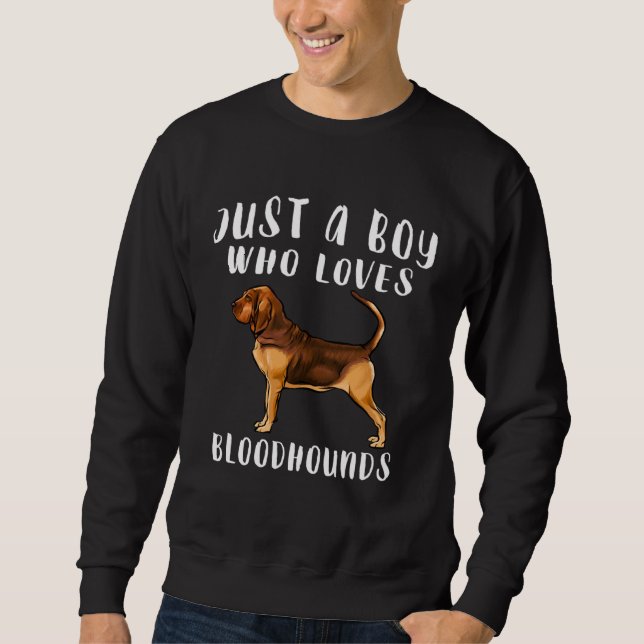 Moletom Im Just A Boy Who Loves Bloodhounds Dog (Frente)