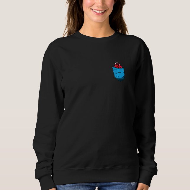 Moletom Insetos de Roupa excelente de  Ladybug (Frente)
