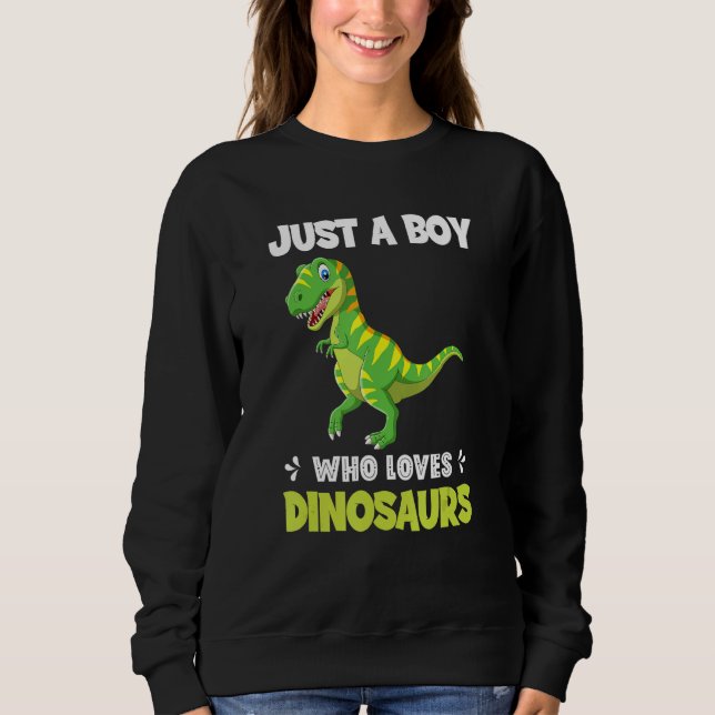 Moletom Just A Boy Who Loves Dinosaurs Rawr Rex Dinosaur (Frente)