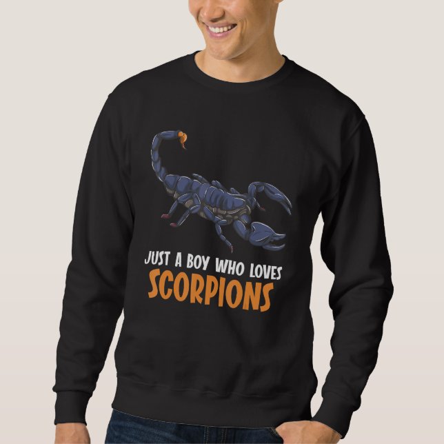 Moletom Just a boy who loves Scorpions Scorpion (Frente)