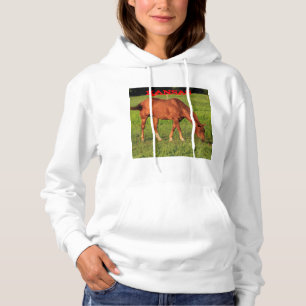 Moletom Kansas Horse em um Hoodie de pasture