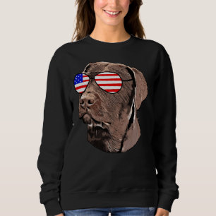 Moletom Laboratório De Chocolate Bandeira Americana Óculos