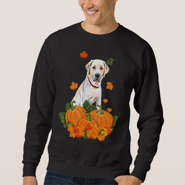 Moletom Labrador Amarelo Retriever Ação de Graças Pumpkin  (Frente)