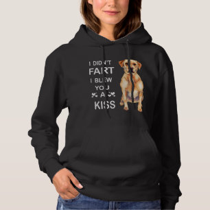 Moletom Labrador de Cachorros Labrador, eu não te dei um b