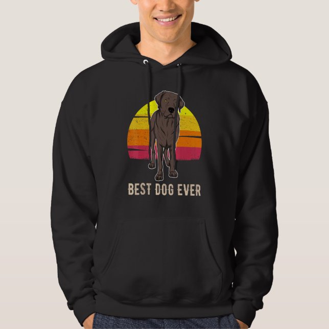 Moletom Labrador Retriever Dog Sunset 8 (Frente)
