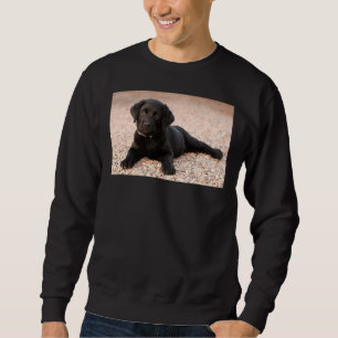 Moletom Labrador Retriever Puppy