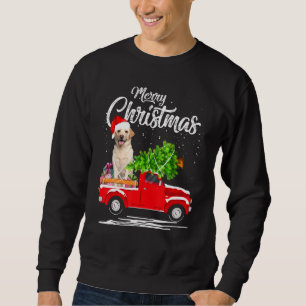 Moletom Labrador Retriever Ride Red Truck Natal Pajama