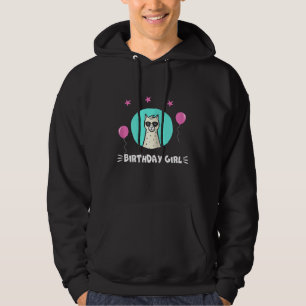 Moletom Legal Alpaca Llama balões Cachorros Meninas Par de