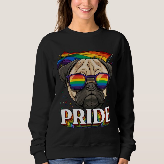 Moletom LGBT Orgulho gay LGBTQ Sinalizador arco-íris Óculo (Frente)