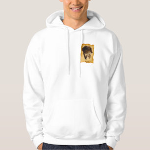 Moletom Lion Africano Belo Gato Gato Selvagem Hoodie