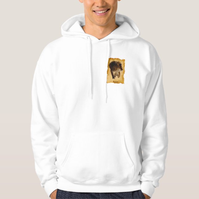 Moletom Lion Africano Belo Gato Gato Selvagem Hoodie (Frente)