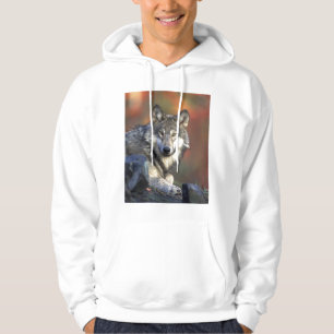 Moletom Lobo Bonito